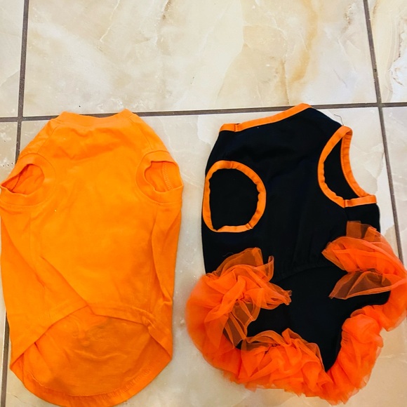 Dog Halloween costumes - Picture 2 of 2